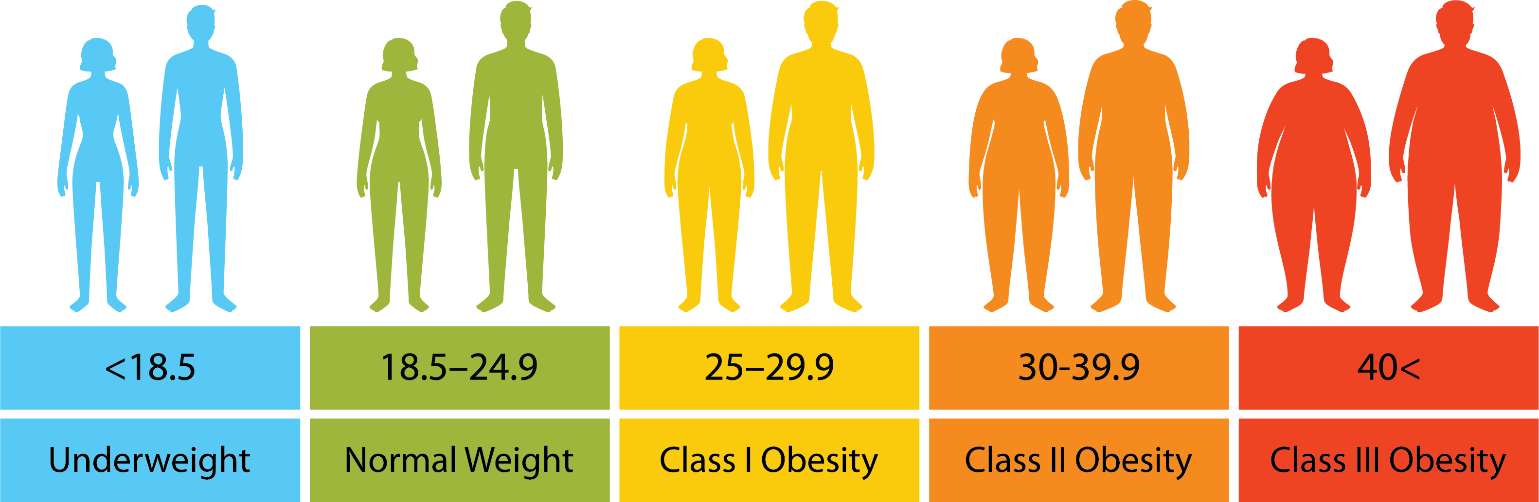 BMI Chart